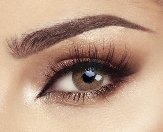 Bella Elite Wild Honey Monthly Contact Lens (2 Lens/Box)